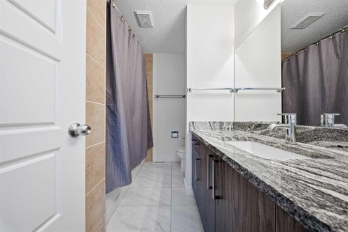 263 Doverview Crescent Se, Calgary, AB - Indoor Photo Showing Bathroom