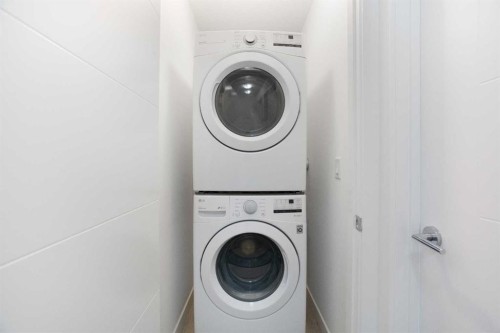 438 Copperstone Manor Se, Calgary, AB - Indoor Photo Showing Laundry Room