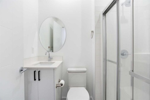 438 Copperstone Manor Se, Calgary, AB - Indoor Photo Showing Bathroom