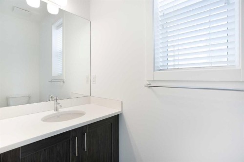 438 Copperstone Manor Se, Calgary, AB - Indoor Photo Showing Bathroom