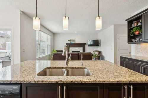 1173 Brightoncrest Common Se, Calgary, AB - Indoor Photo Showing Kitchen With Double Sink With Upgraded Kitchen