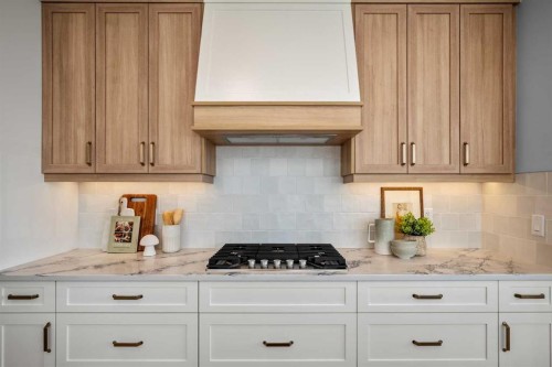 45 Wolf Hollow Common Se, Calgary, AB - Indoor Photo Showing Kitchen With Upgraded Kitchen