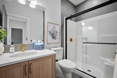 45 Wolf Hollow Common Se, Calgary, AB - Indoor Photo Showing Bathroom