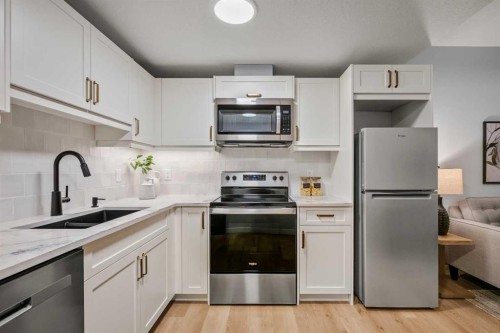 45 Wolf Hollow Common Se, Calgary, AB - Indoor Photo Showing Kitchen With Double Sink With Upgraded Kitchen