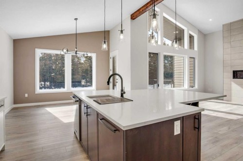 43 Viceroy Crescent, Olds, AB - Indoor Photo Showing Kitchen With Upgraded Kitchen