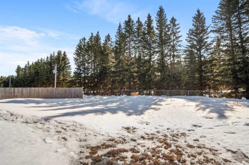 43 Viceroy Crescent, Olds, AB - Outdoor