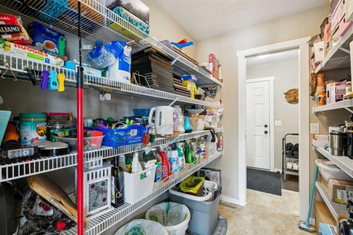 23 Kingston View Se, Airdrie, AB - Indoor With Storage
