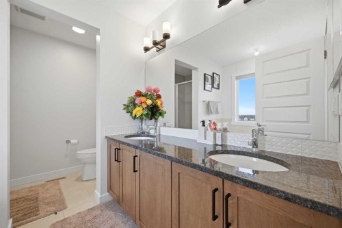 1448 Bayview Point Sw, Airdrie, AB - Indoor Photo Showing Bathroom
