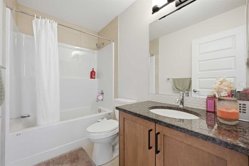 1448 Bayview Point Sw, Airdrie, AB - Indoor Photo Showing Bathroom