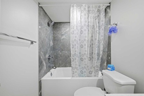 1448 Bayview Point Sw, Airdrie, AB - Indoor Photo Showing Bathroom