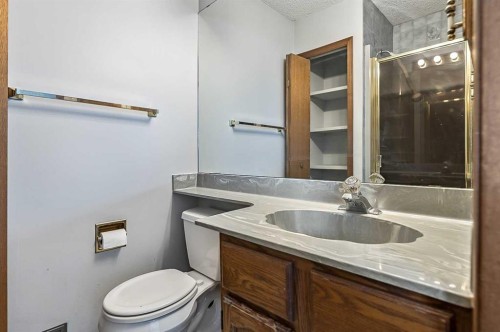 104 Macewan Meadow Way Nw, Calgary, AB - Indoor Photo Showing Bathroom