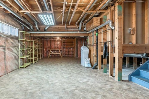 104 Macewan Meadow Way Nw, Calgary, AB - Indoor Photo Showing Basement