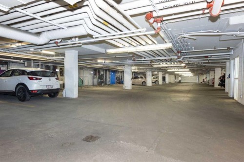 2203-240 Skyview Ranch Road Ne, Calgary, AB - Indoor Photo Showing Garage