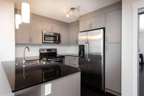 2203-240 Skyview Ranch Road Ne, Calgary, AB - Indoor Photo Showing Kitchen With Double Sink With Upgraded Kitchen