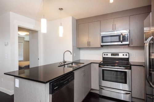 2203-240 Skyview Ranch Road Ne, Calgary, AB - Indoor Photo Showing Kitchen With Double Sink With Upgraded Kitchen