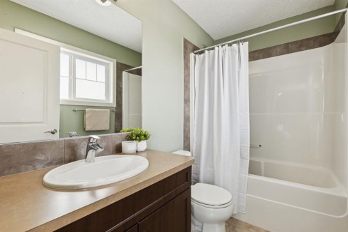 298 River Heights Crescent, Cochrane, AB - Indoor Photo Showing Bathroom