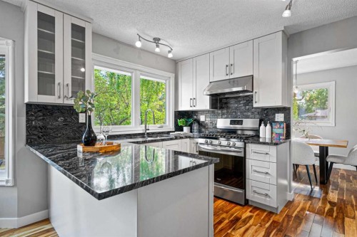 308 Parkridge Green Se, Calgary, AB - Indoor Photo Showing Kitchen With Upgraded Kitchen