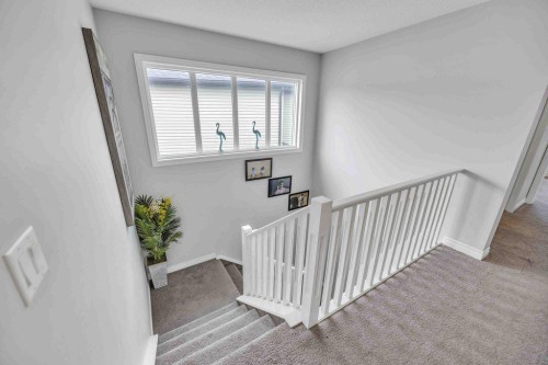 184 Cornerbrook Common Ne, Calgary, AB - Indoor Photo Showing Other Room