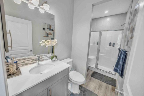 184 Cornerbrook Common Ne, Calgary, AB - Indoor Photo Showing Bathroom