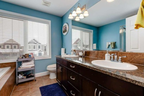935 Windhaven Close Sw, Airdrie, AB - Indoor Photo Showing Bathroom