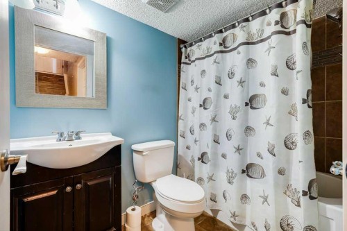 935 Windhaven Close Sw, Airdrie, AB - Indoor Photo Showing Bathroom