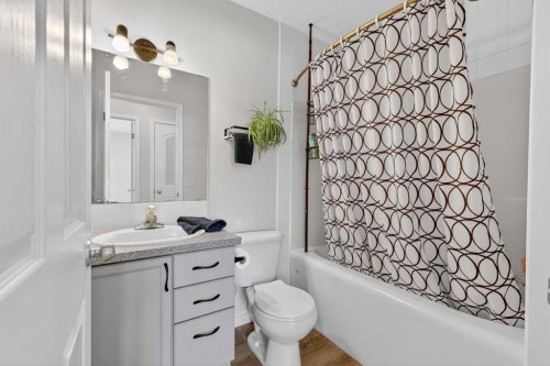 1175 Strathcona Road, Strathmore, AB - Indoor Photo Showing Bathroom