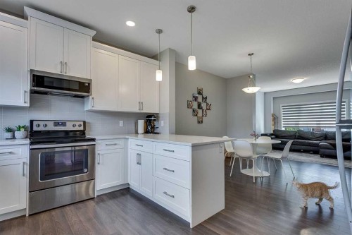 254 Walgrove Terrace Se, Calgary, AB - Indoor Photo Showing Kitchen With Upgraded Kitchen