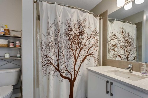 254 Walgrove Terrace Se, Calgary, AB - Indoor Photo Showing Bathroom
