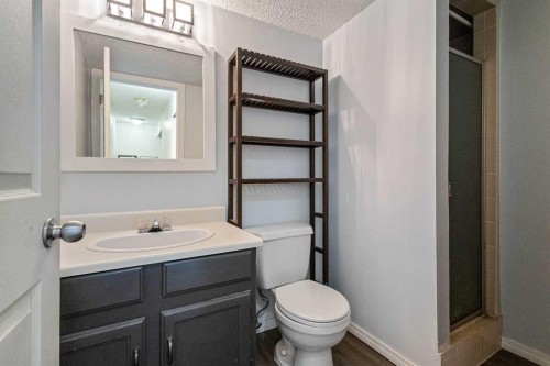 49 Castlebrook Way Ne, Calgary, AB - Indoor Photo Showing Bathroom