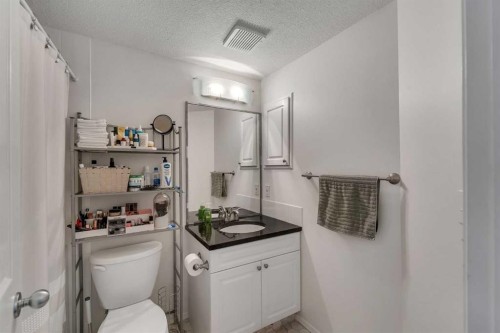 201-215 17 Avenue Ne, Calgary, AB - Indoor Photo Showing Bathroom