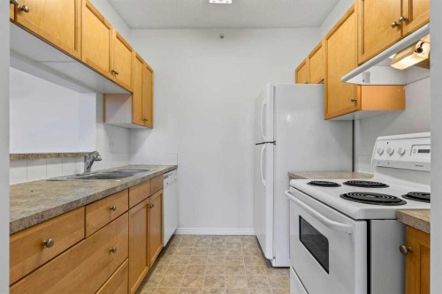 304-2022 Canyon Meadows Drive Se, Calgary, AB - Indoor Photo Showing Kitchen With Double Sink