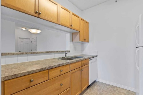 304-2022 Canyon Meadows Drive Se, Calgary, AB - Indoor Photo Showing Kitchen With Double Sink