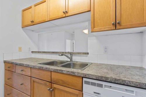 304-2022 Canyon Meadows Drive Se, Calgary, AB - Indoor Photo Showing Kitchen With Double Sink