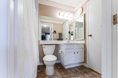 320 Midpark Gardens Se, Calgary, AB - Indoor Photo Showing Bathroom