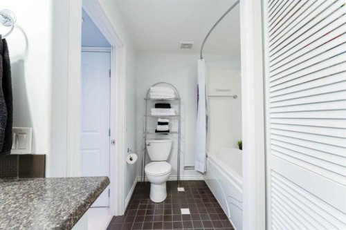 320 Midpark Gardens Se, Calgary, AB - Indoor Photo Showing Bathroom