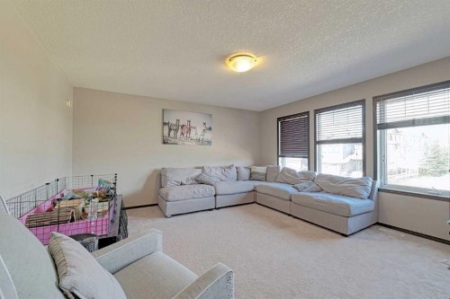 133 Evanspark Circle Nw, Calgary, AB - Indoor Photo Showing Living Room