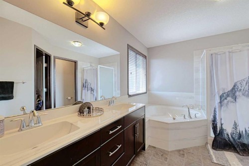 133 Evanspark Circle Nw, Calgary, AB - Indoor Photo Showing Bathroom