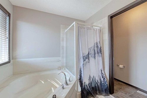 133 Evanspark Circle Nw, Calgary, AB - Indoor Photo Showing Bathroom