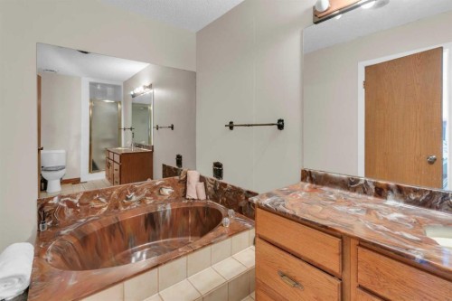 111 Edforth Place Nw, Calgary, AB - Indoor Photo Showing Bathroom