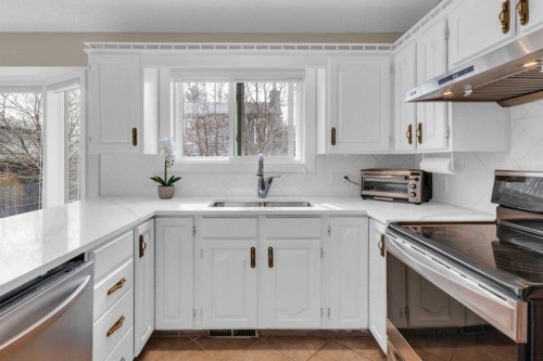 111 Edforth Place Nw, Calgary, AB - Indoor Photo Showing Kitchen With Double Sink