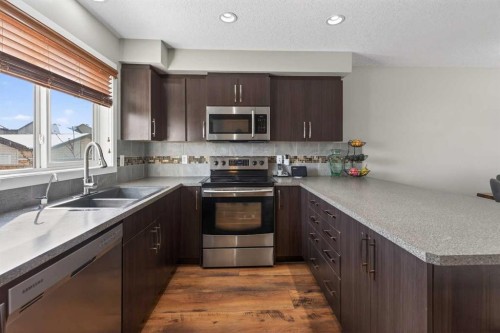 56 Skyview Point Crescent Ne, Calgary, AB - Indoor Photo Showing Kitchen With Stainless Steel Kitchen With Double Sink With Upgraded Kitchen