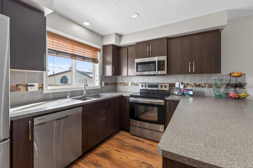 56 Skyview Point Crescent Ne, Calgary, AB - Indoor Photo Showing Kitchen With Stainless Steel Kitchen With Double Sink