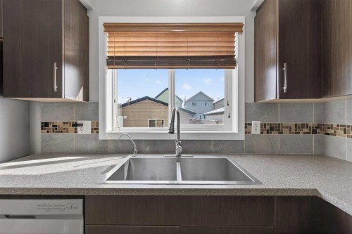 56 Skyview Point Crescent Ne, Calgary, AB - Indoor Photo Showing Kitchen With Double Sink