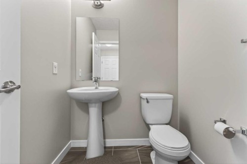 56 Skyview Point Crescent Ne, Calgary, AB - Indoor Photo Showing Bathroom