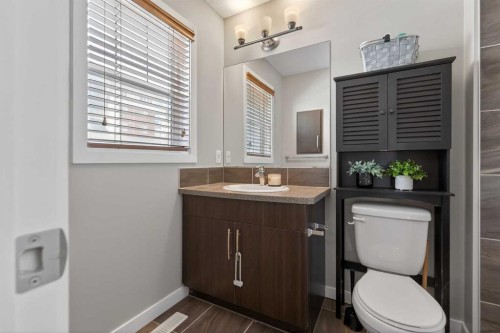 56 Skyview Point Crescent Ne, Calgary, AB - Indoor Photo Showing Bathroom