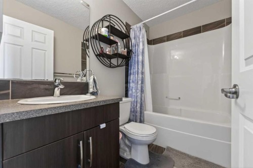 56 Skyview Point Crescent Ne, Calgary, AB - Indoor Photo Showing Bathroom