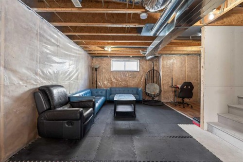 56 Skyview Point Crescent Ne, Calgary, AB - Indoor Photo Showing Basement