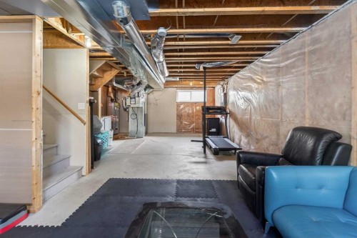 56 Skyview Point Crescent Ne, Calgary, AB - Indoor Photo Showing Basement