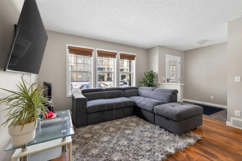 56 Skyview Point Crescent Ne, Calgary, AB - Indoor Photo Showing Living Room