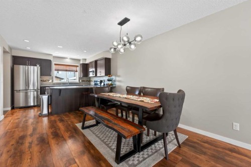 56 Skyview Point Crescent Ne, Calgary, AB - Indoor